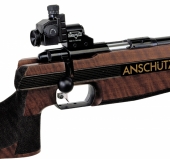 Anschuetz 1907 Target