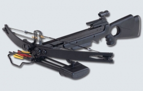 Crossbow -  250 LBS